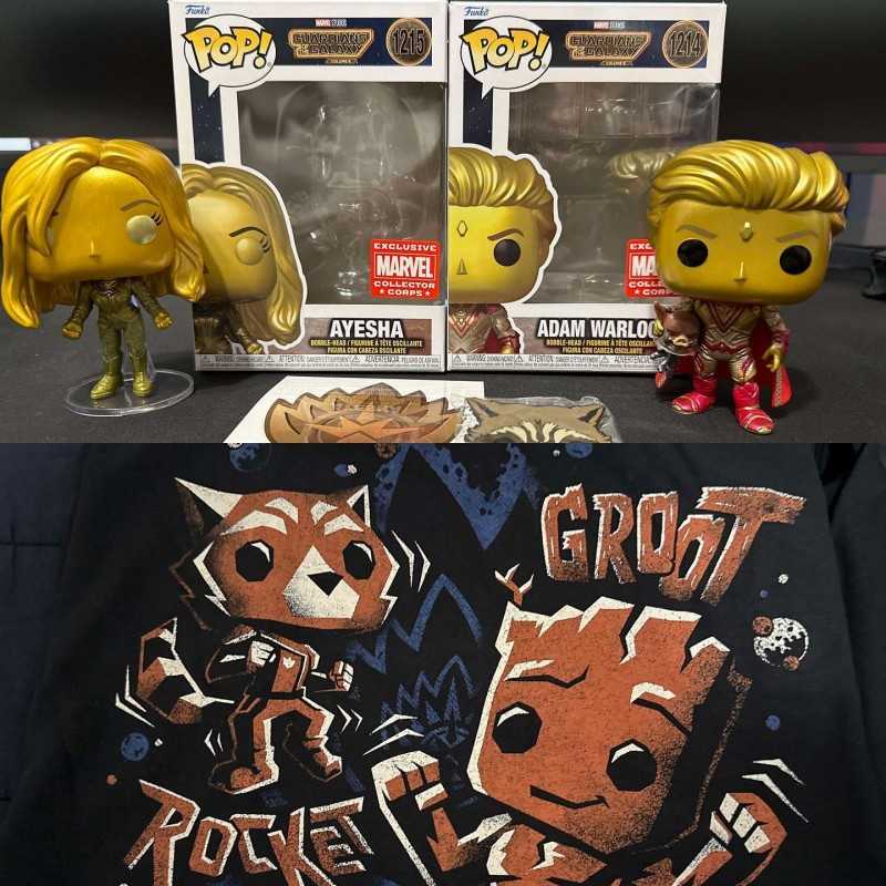 Funko Marvel Collector Corps Box Guardians of the Galaxy Vol3 Theme